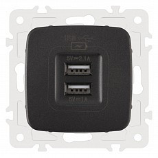 Розетка usb, без рамки arte milano am-205 205.46-1.black